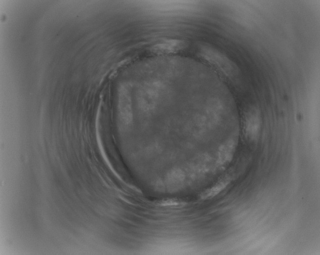 X0000076450759200610271824