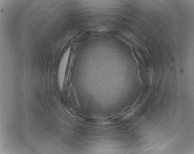 X0000076450760200610271824