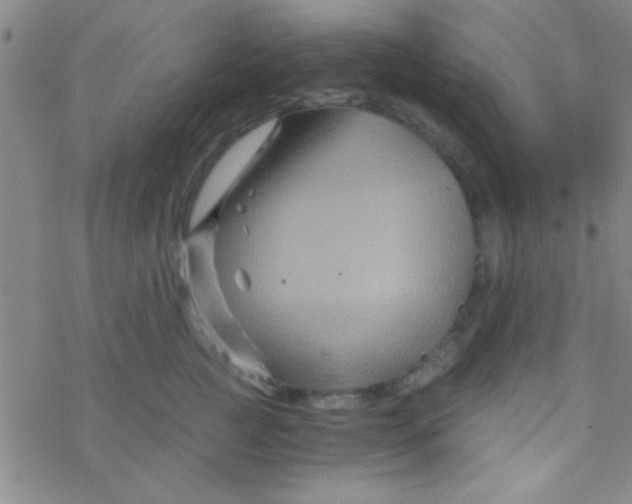 X0000076450761200610271824