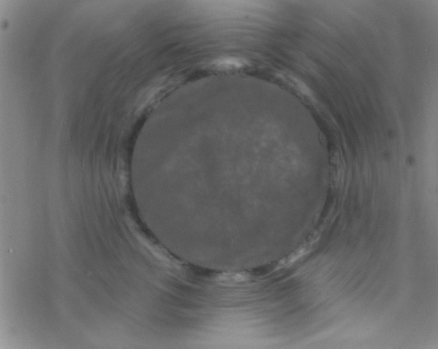 X0000076450762200610271824