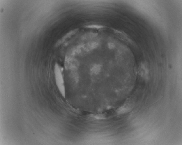 X0000076450763200610271824