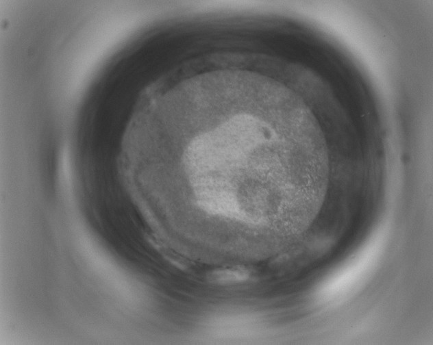 X0000076450765200610271824