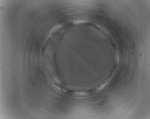 X0000076450766200610271824