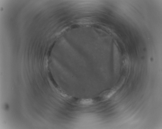 X0000076450767200610271824