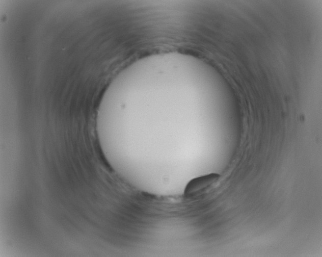 X0000076450768200610271824