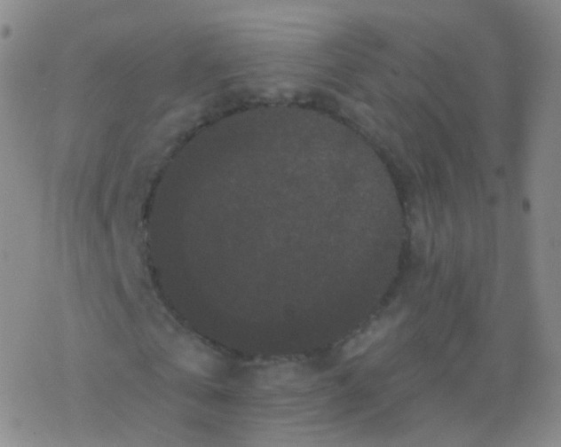 X0000076450769200610271823