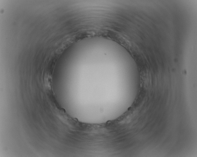 X0000076450770200610271823