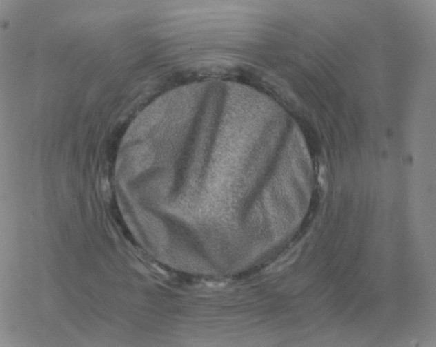 X0000076450771200610271823