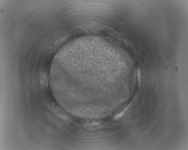 X0000076450772200610271823