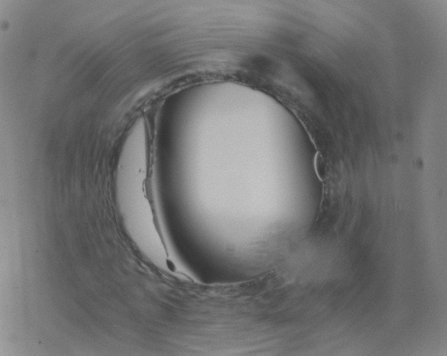 X0000076450773200610271823