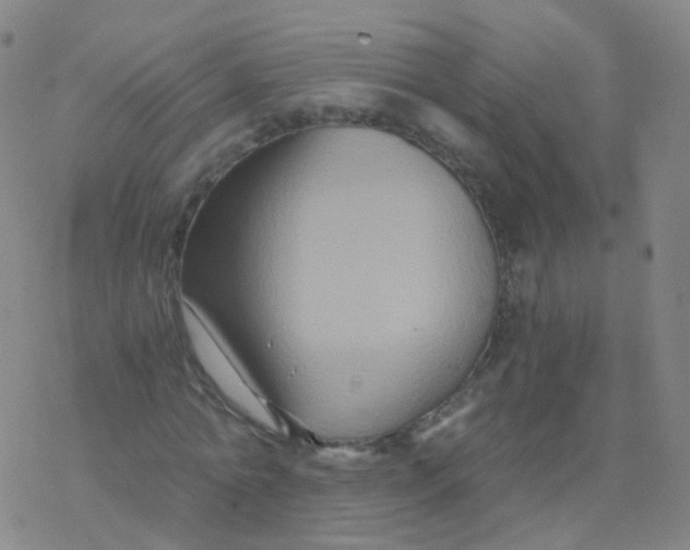 X0000076450774200610271823