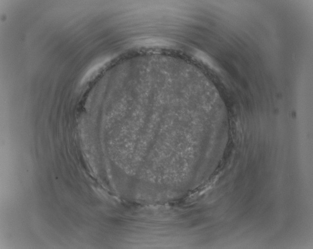 X0000076450775200610271823