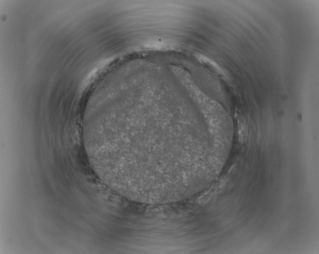 X0000076450776200610271823