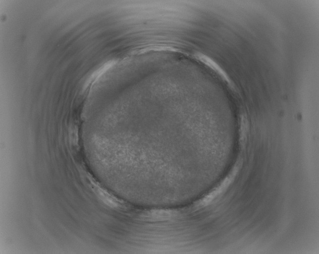 X0000076450777200610271823