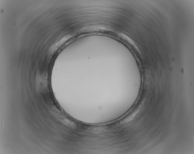 X0000076450778200610271823