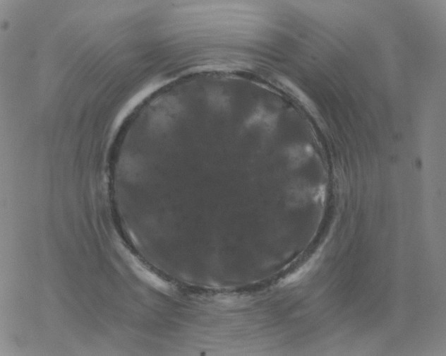 X0000076450779200610271823