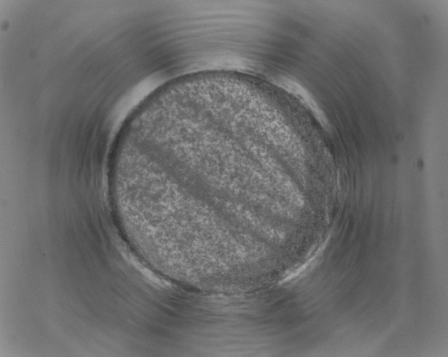 X0000076450780200610271823