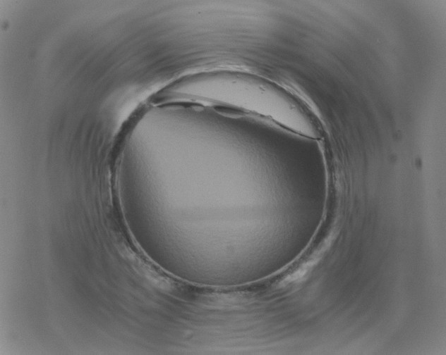 X0000076450781200610271823