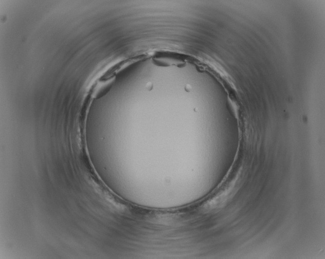 X0000076450782200610271823