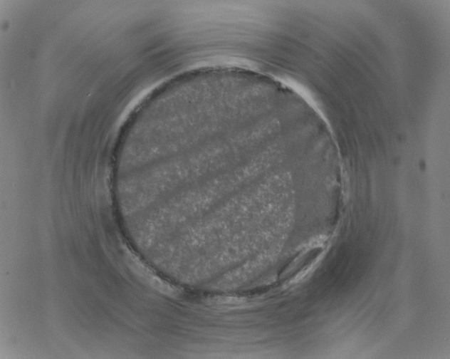 X0000076450783200610271823