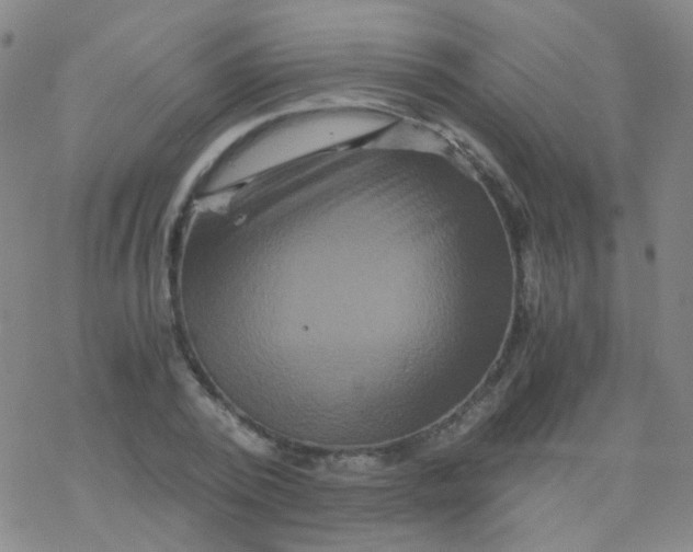 X0000076450784200610271823