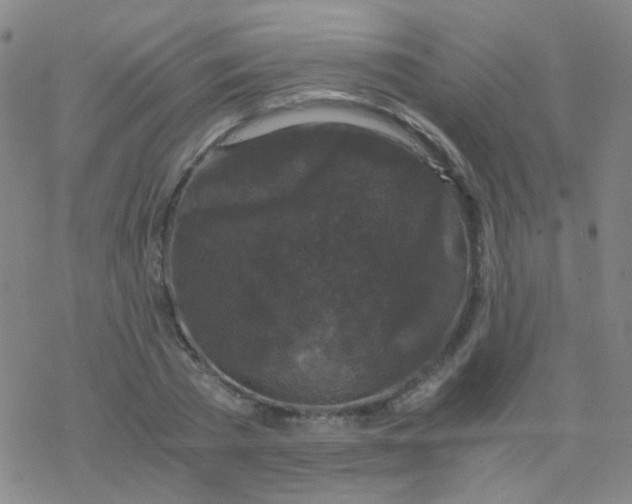 X0000076450785200610271823