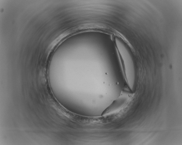 X0000076450786200610271823