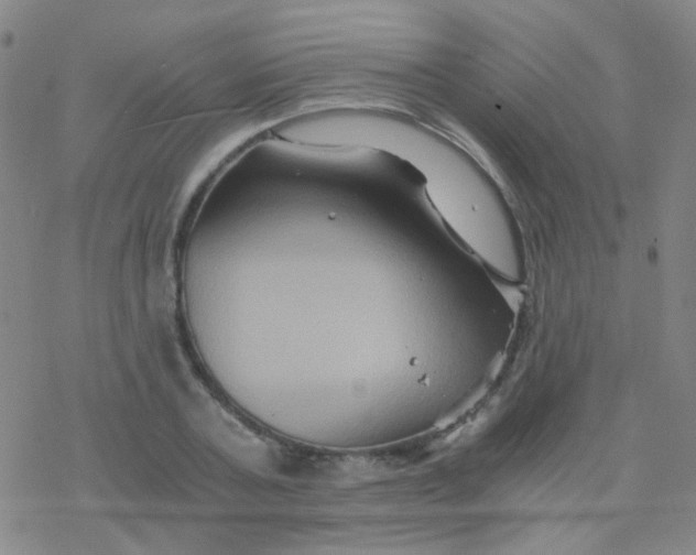 X0000076450787200610271823