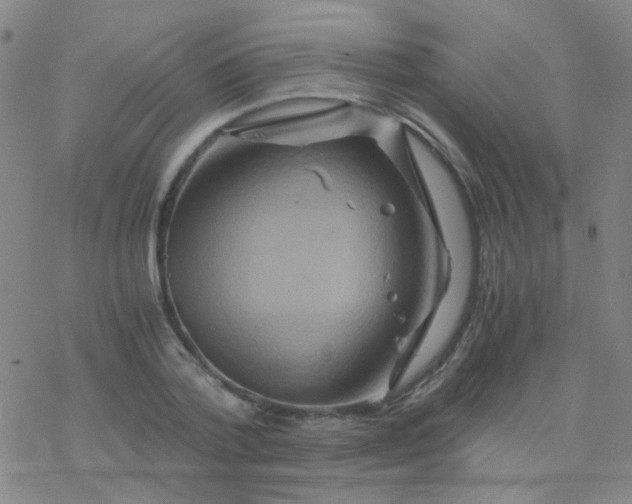 X0000076450788200610271823