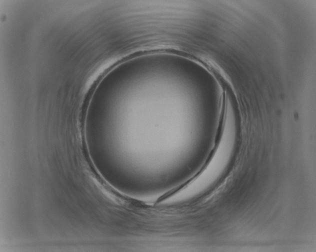 X0000076450789200610271823