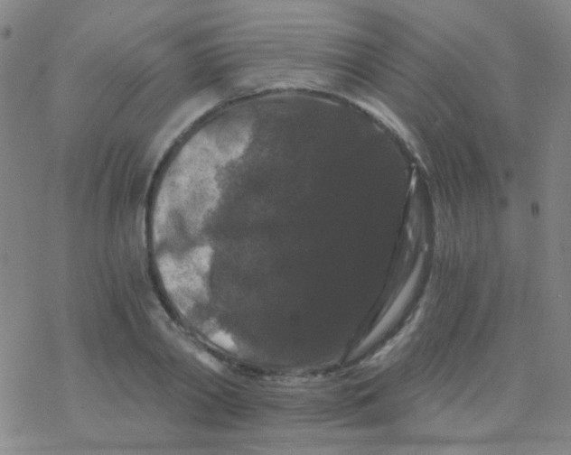 X0000076450790200610271823