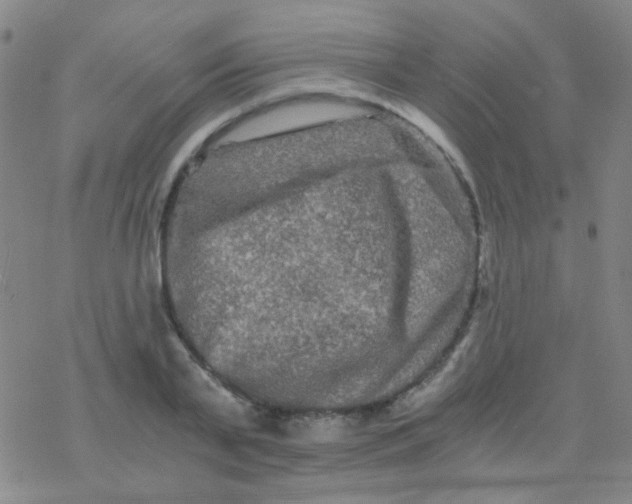 X0000076450791200610271823