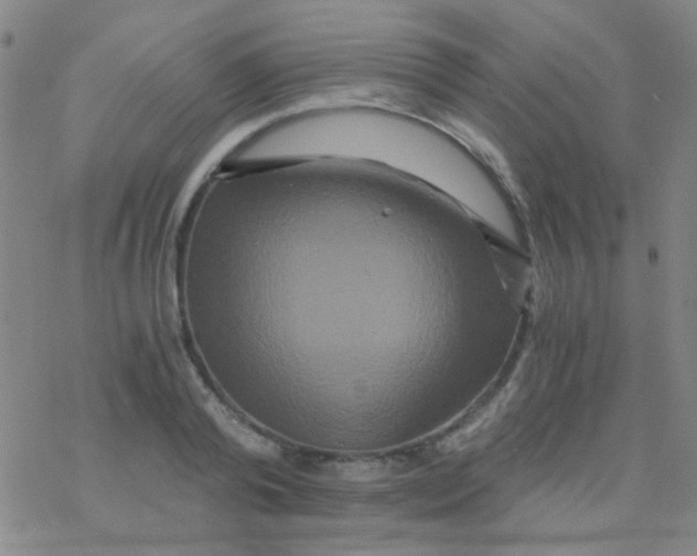 X0000076450792200610271823