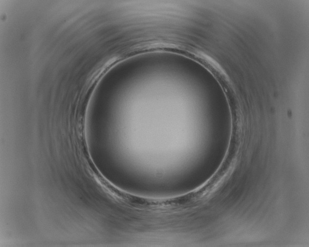 X0000076450793200610271823