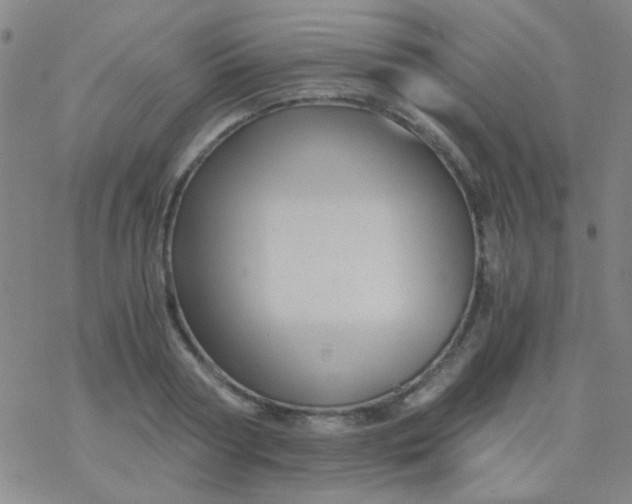 X0000076450794200610271823