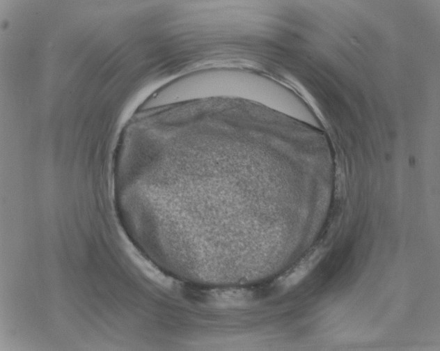 X0000076450795200610271823