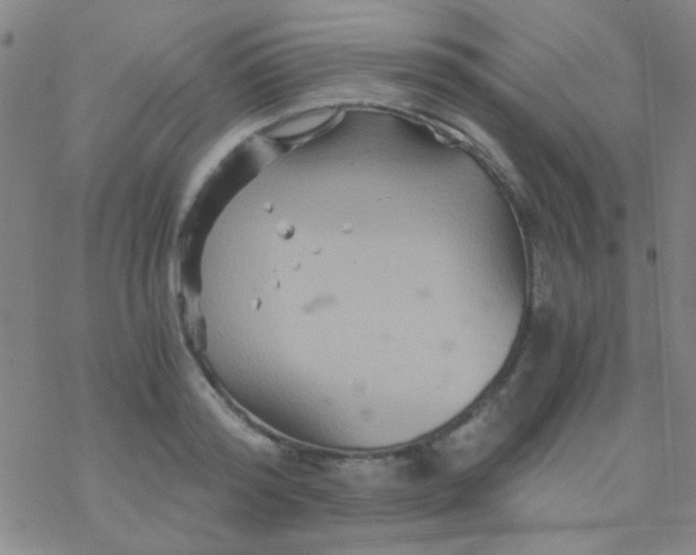 X0000076450796200610271823