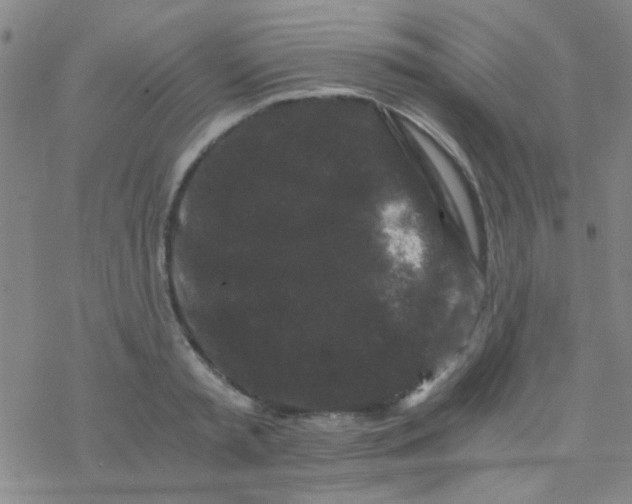 X0000076450797200610271823