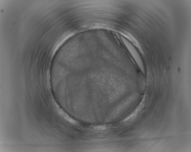 X0000076450798200610271822