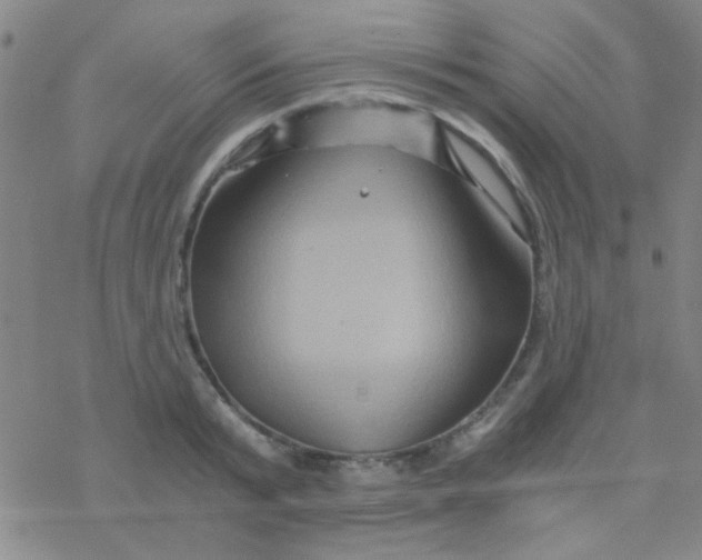 X0000076450799200610271822