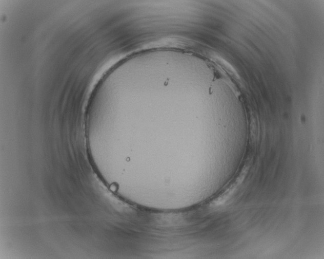 X0000076450800200610271822