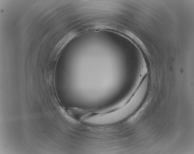 X0000076450801200610271822