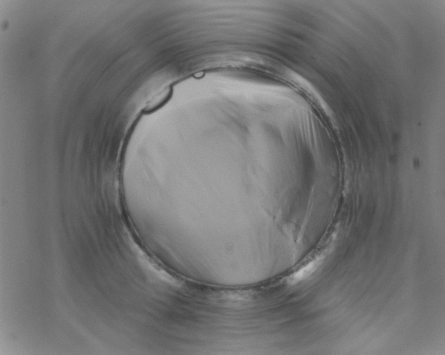 X0000076450802200610271822