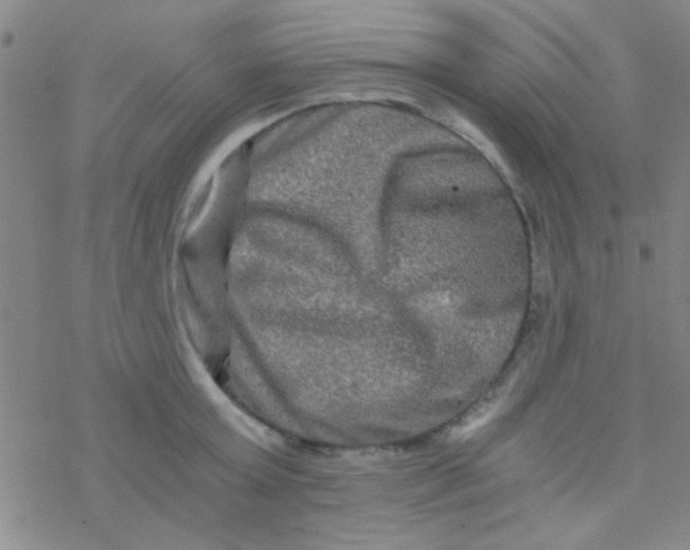 X0000076450803200610271822