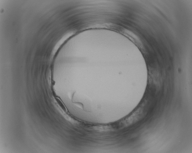 X0000076450804200610271822