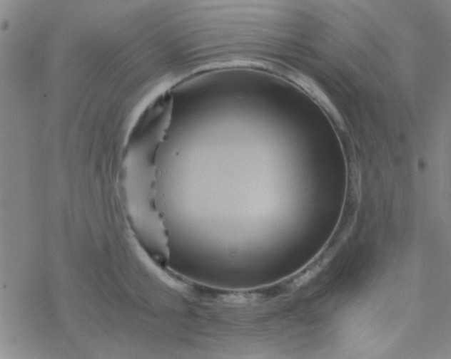 X0000076450805200610271822