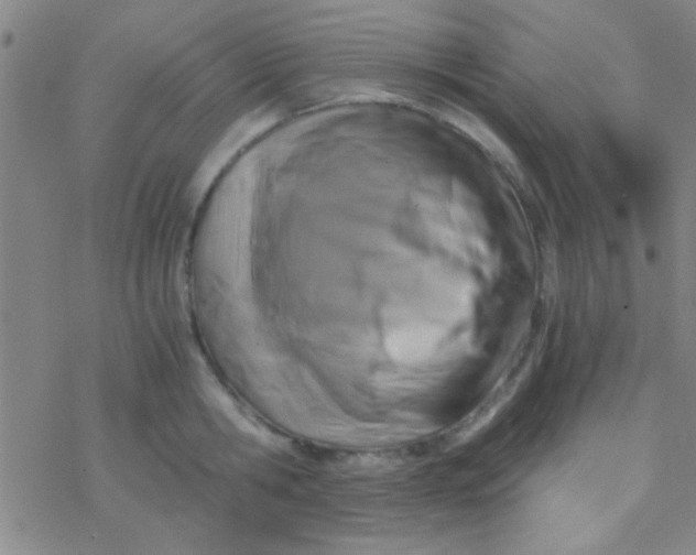 X0000076450806200610271822