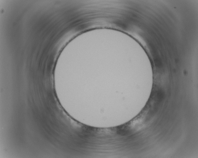 X0000076450807200610271822