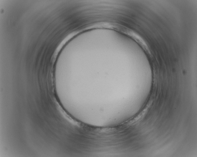 X0000076450808200610271822