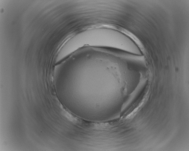 X0000076450809200610271822